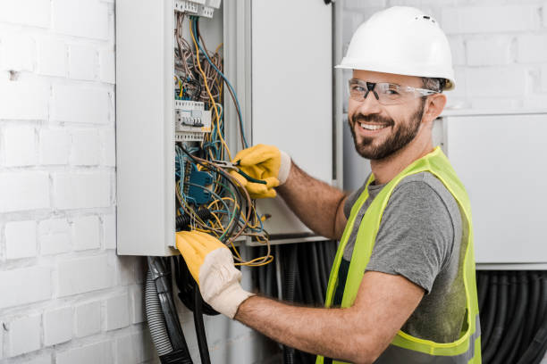 Best Electric Panel Repair  in Cross Lanes, WV